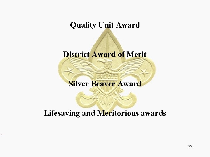 Quality Unit Award District Award of Merit Silver Beaver Award Lifesaving and Meritorious awards