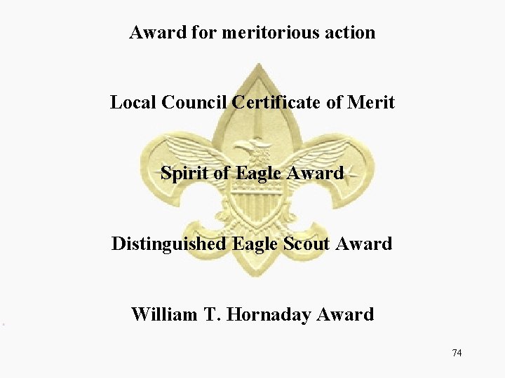 Award for meritorious action Local Council Certificate of Merit Spirit of Eagle Award Distinguished