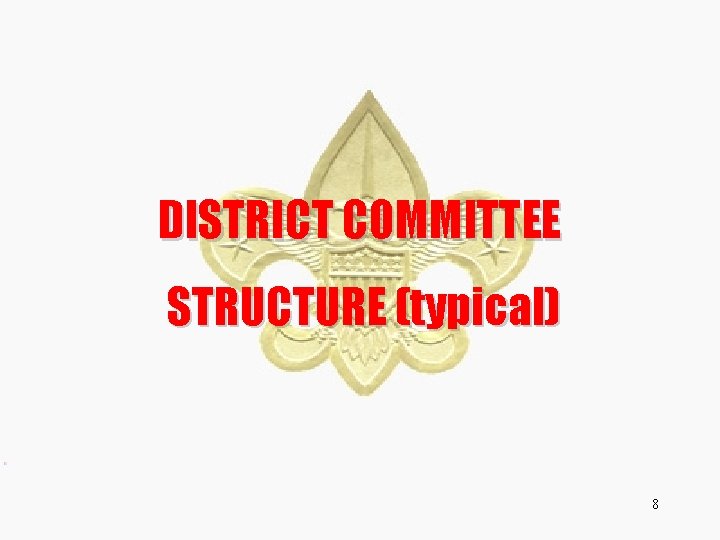 DISTRICT COMMITTEE STRUCTURE (typical) 8 