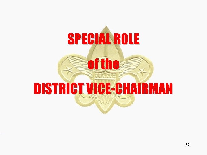 SPECIAL ROLE of the DISTRICT VICE-CHAIRMAN 82 