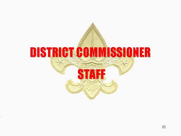 DISTRICT COMMISSIONER STAFF 85 