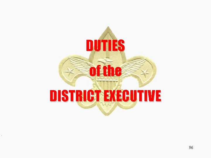 DUTIES of the DISTRICT EXECUTIVE 96 