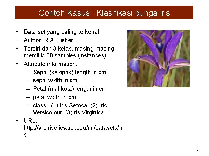 Contoh Kasus : Klasifikasi bunga iris • Data set yang paling terkenal • Author: