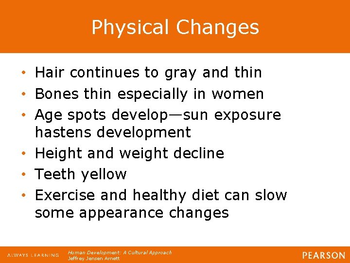 Physical Changes • Hair continues to gray and thin • Bones thin especially in