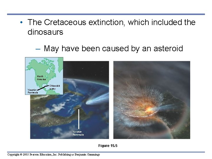 • The Cretaceous extinction, which included the dinosaurs – May have been caused • The Cretaceous extinction, which included the dinosaurs – May have been caused