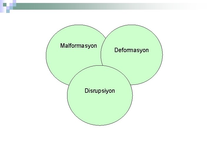 Malformasyon Deformasyon Disrupsiyon 