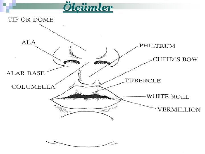 Ölçümler 