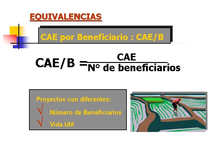 EQUIVALENCIAS CAE por Beneficiario : CAE/B CAE =N° de beneficiarios Proyectos con diferentes: Ö