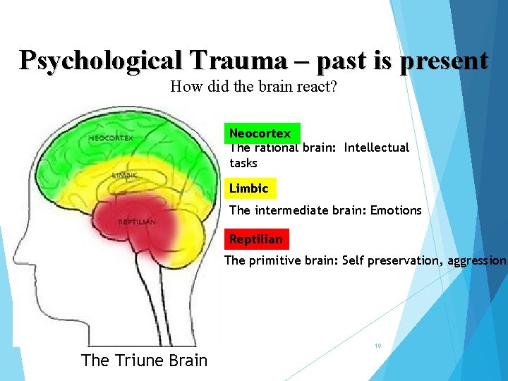 Psychological Trauma – past is present How did the brain react? Neocortex The rational