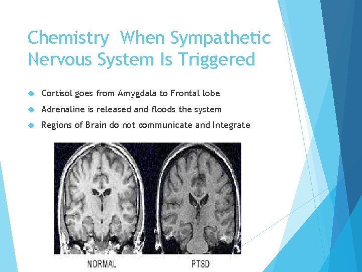 Chemistry When Sympathetic Nervous System Is Triggered Cortisol goes from Amygdala to Frontal lobe