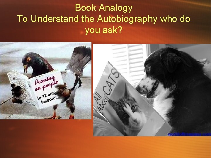 Book Analogy To Understand the Autobiography who do you ask? Book Analogy To Understand the Autobiography who do you ask?