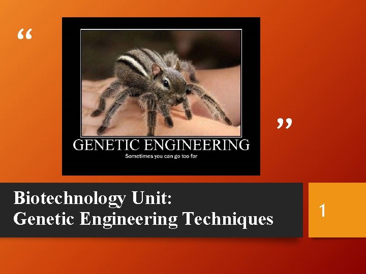 “ ” Biotechnology Unit: Genetic Engineering Techniques 1 