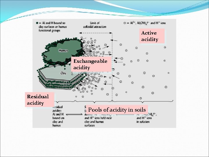 Active acidity Exchangeable acidity Residual acidity Pools of acidity in soils Active acidity Exchangeable acidity Residual acidity Pools of acidity in soils