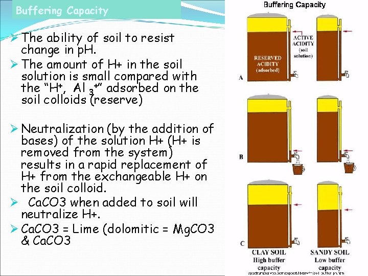 Buffering Capacity Ø The ability of soil to resist change in p. H. Ø Buffering Capacity Ø The ability of soil to resist change in p. H. Ø