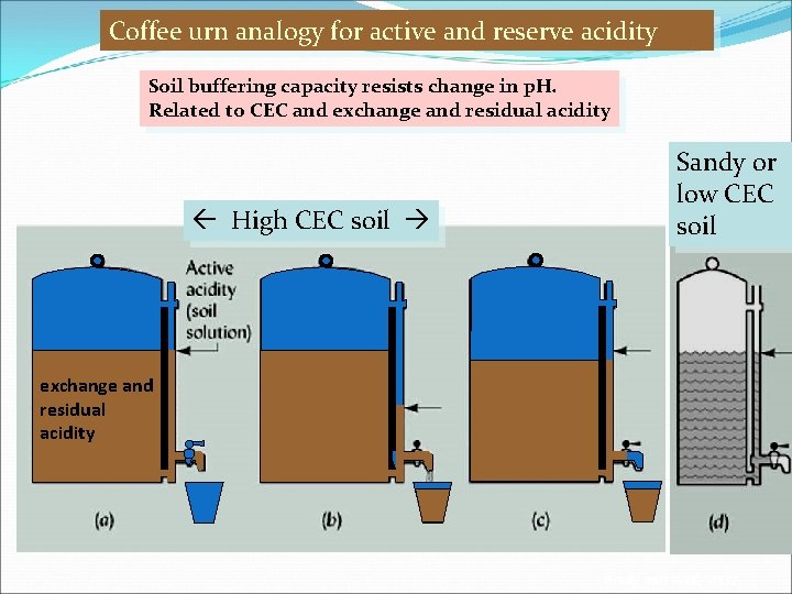 Coffee urn analogy for active and reserve acidity Soil buffering capacity resists change in Coffee urn analogy for active and reserve acidity Soil buffering capacity resists change in