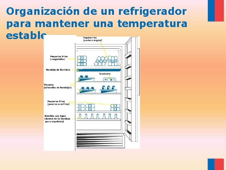 Organización de un refrigerador para mantener una temperatura estable 