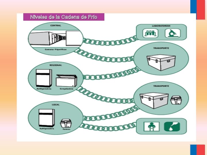 Niveles de la Cadena de Frío 