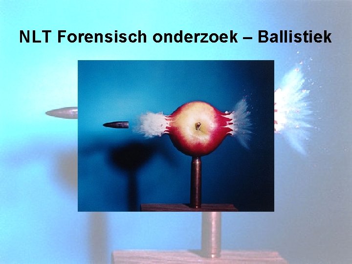 NLT Forensisch onderzoek – Ballistiek 