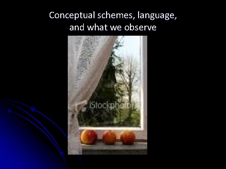 Conceptual schemes, language, and what we observe 
