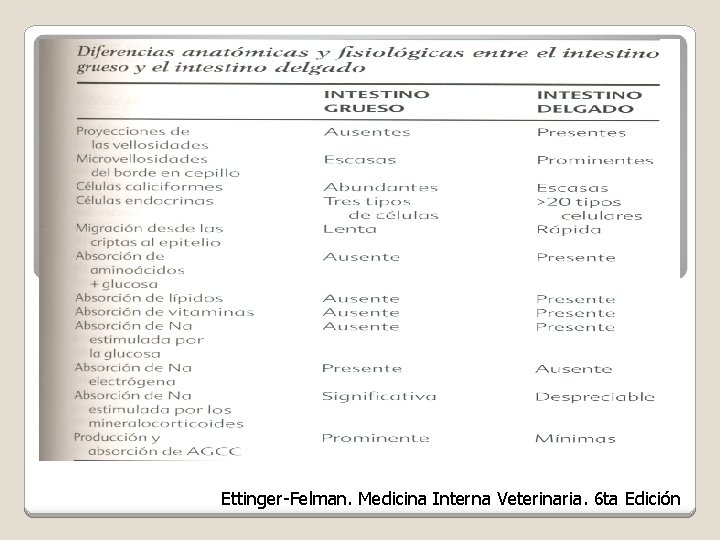 Ettinger-Felman. Medicina Interna Veterinaria. 6 ta Edición 