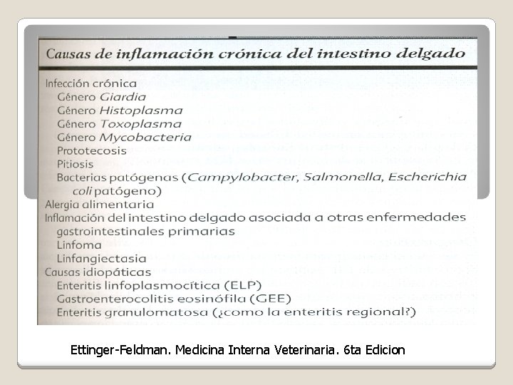 Ettinger-Feldman. Medicina Interna Veterinaria. 6 ta Edicion 