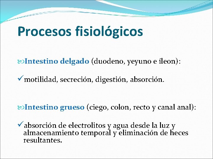 Procesos fisiológicos Intestino delgado (duodeno, yeyuno e íleon): ümotilidad, secreción, digestión, absorción. Intestino grueso