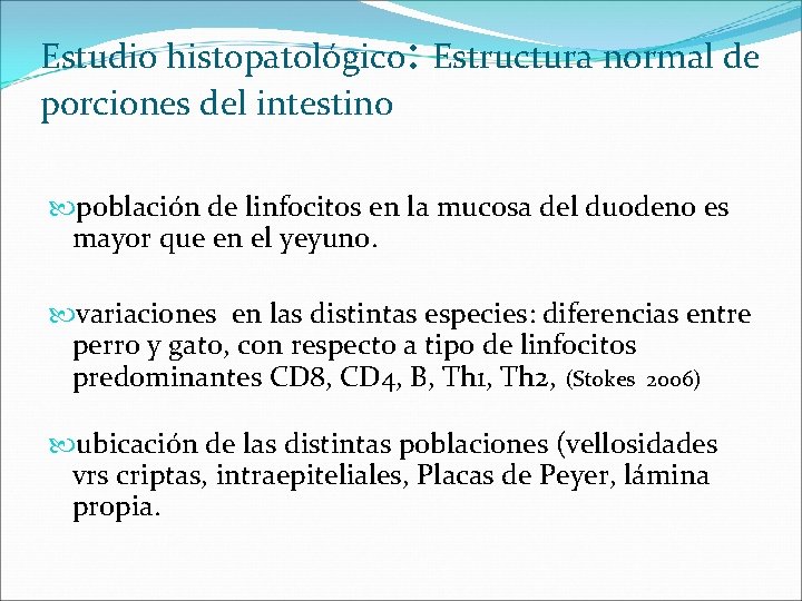Estudio histopatológico: Estructura normal de porciones del intestino población de linfocitos en la mucosa