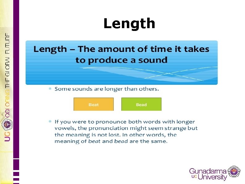 Length 