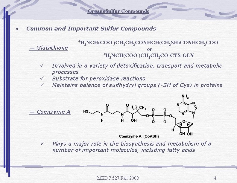 Organo. Sulfur Compounds • Common and Important Sulfur Compounds — Glutathione ü ü ü