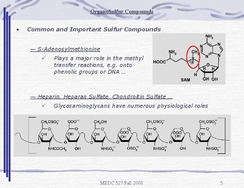 Organo. Sulfur Compounds • Common and Important Sulfur Compounds — S-Adenosylmethionine ü Plays a