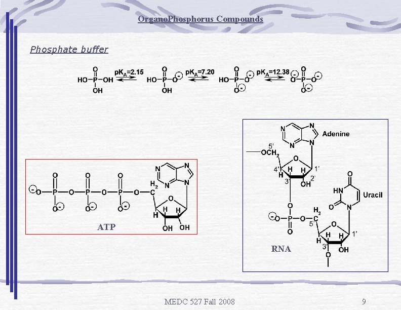 Organo. Phosphorus Compounds Phosphate buffer ATP RNA MEDC 527 Fall 2008 9 