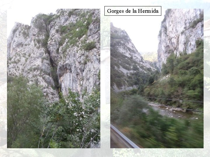 Gorges de la Hermida 