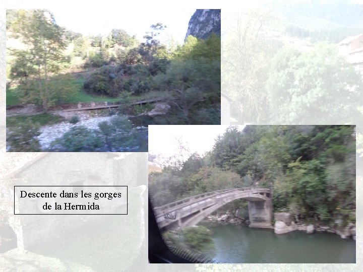 Descente dans les gorges de la Hermida 