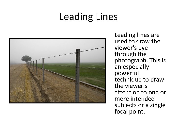 Leading Lines Leading lines are used to draw the viewer's eye through the photograph.
