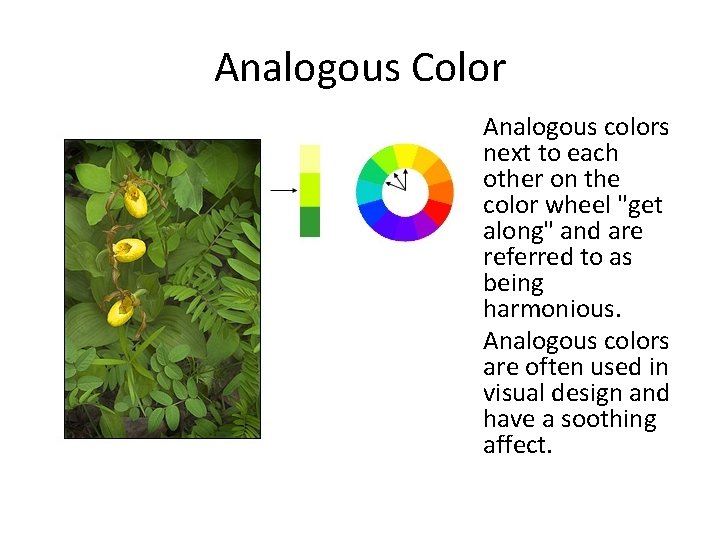 Analogous Color Analogous colors next to each other on the color wheel "get along"