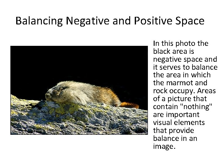 Balancing Negative and Positive Space In this photo the black area is negative space