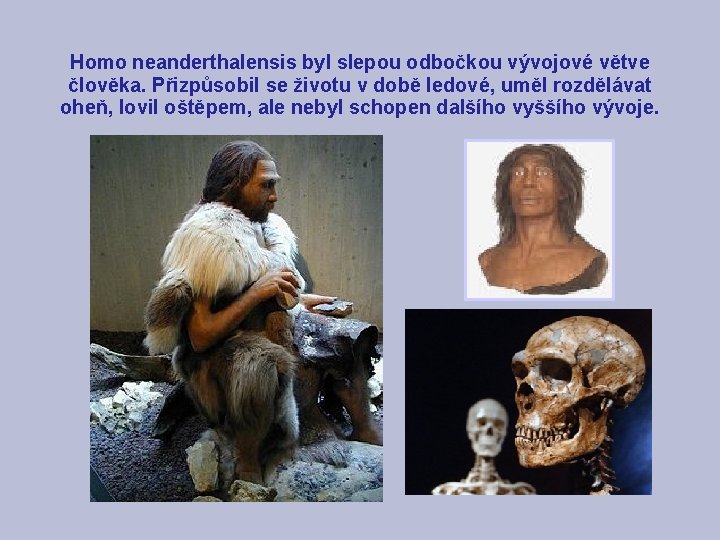 Homo neanderthalensis byl slepou odbočkou vývojové větve člověka. Přizpůsobil se životu v době ledové,