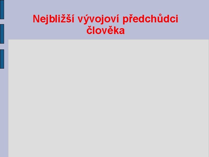 Nejbližší vývojoví předchůdci člověka 