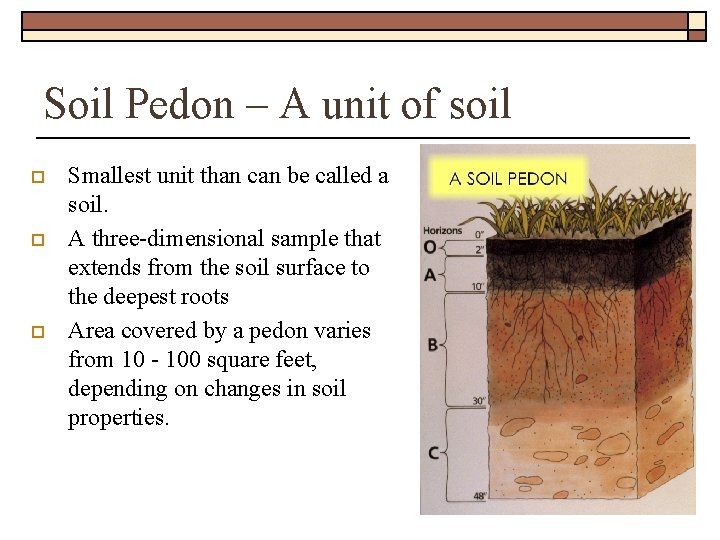 Soil Pedon – A unit of soil o o o Smallest unit than can