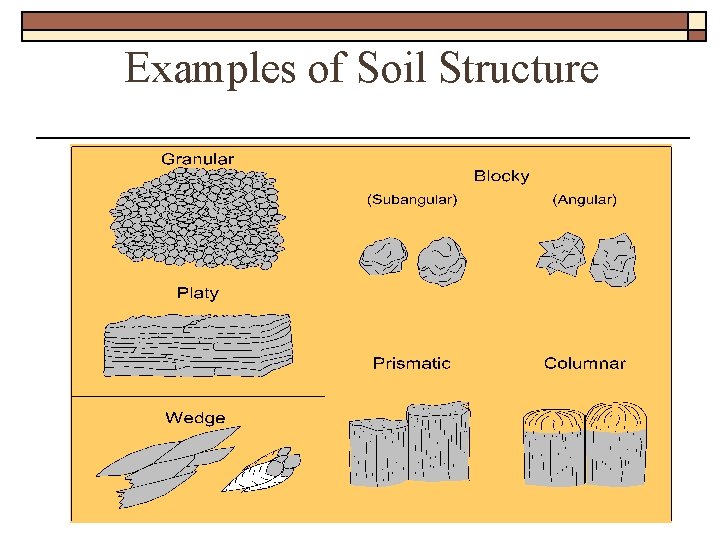 Examples of Soil Structure 