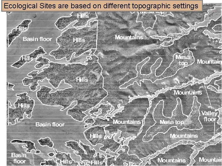 Ecological Sites are based on different topographic settings 