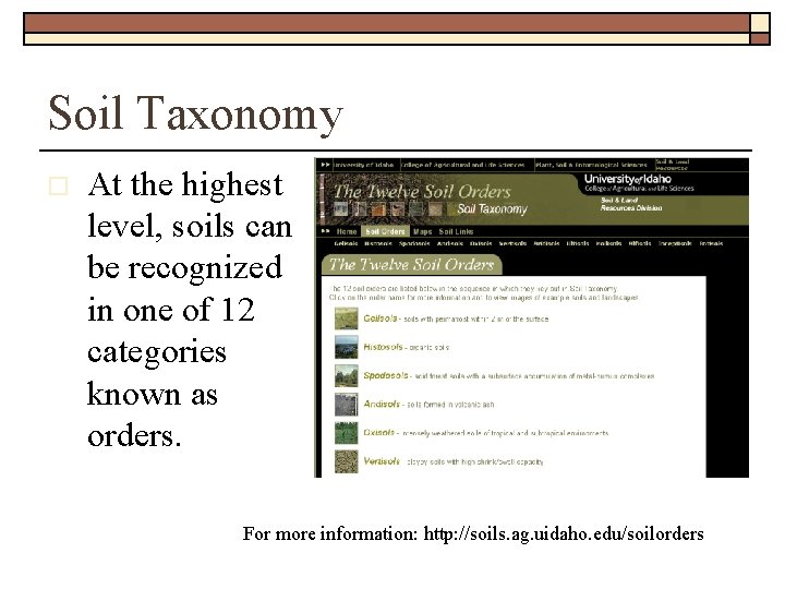 Soil Taxonomy o At the highest level, soils can be recognized in one of