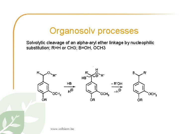 Organosolv processes Solvolytic cleavage of an alpha-aryl ether linkage by nucleophilic substitution; R=H or