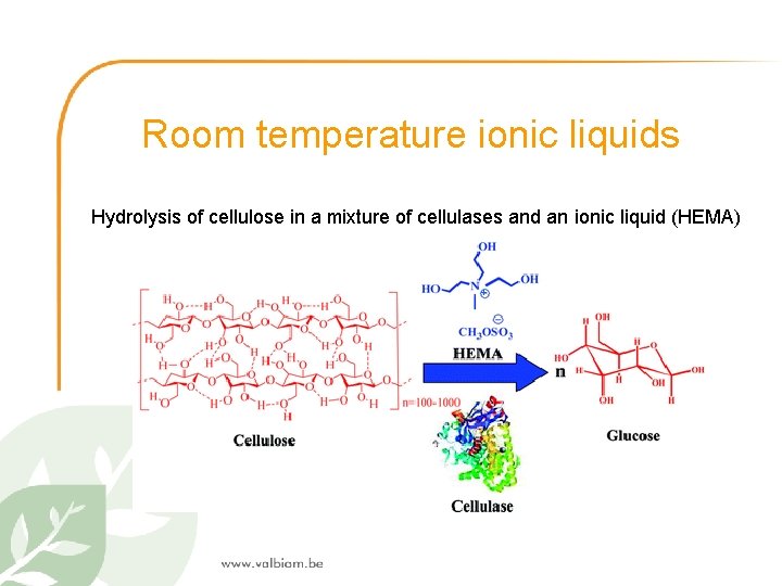 Room temperature ionic liquids Hydrolysis of cellulose in a mixture of cellulases and an