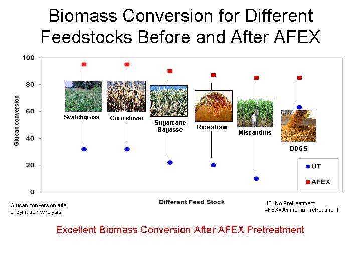 Biomass Conversion for Different Feedstocks Before and After AFEX Glucan conversion for various AFEX