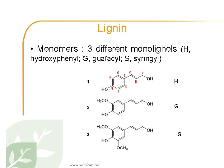 Lignin • Monomers : 3 different monolignols (H, hydroxyphenyl; G, guaïacyl; S, syringyl) H