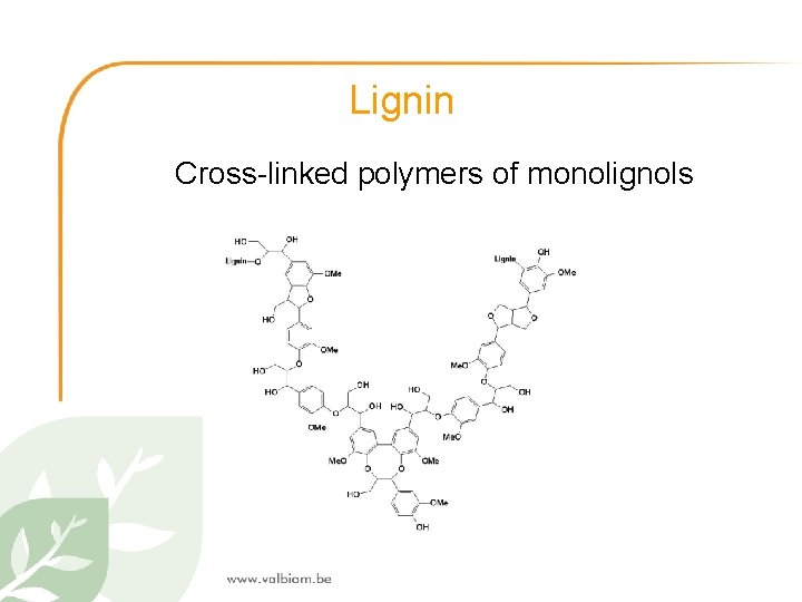 Lignin Cross-linked polymers of monolignols 