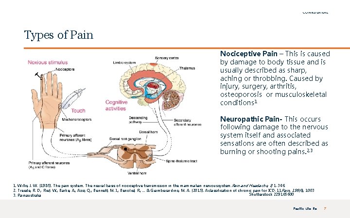 FOR INTERNAL USE ONLY | PRIVATE & CONFIDENTIAL Types of Pain Nociceptive Pain –