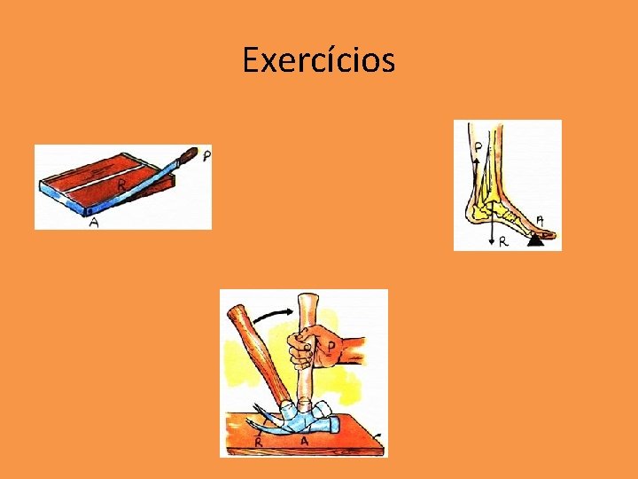 Exercícios Exercícios