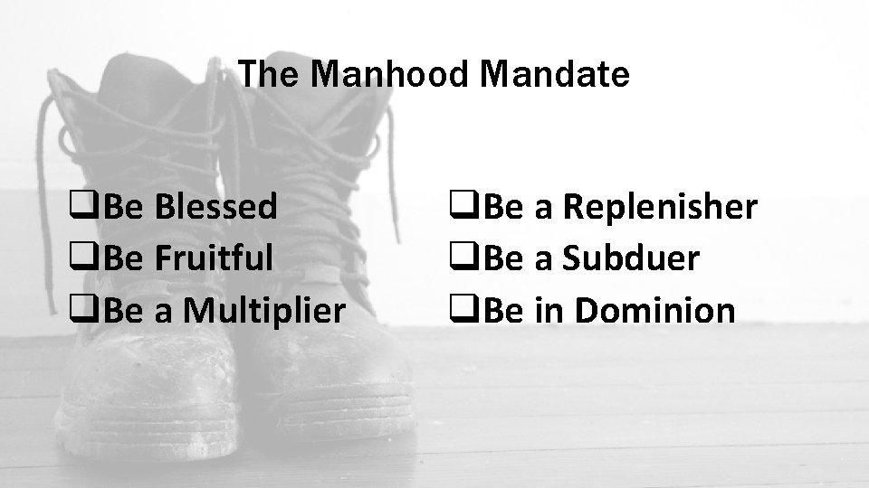 The Manhood Mandate q. Be Blessed q. Be Fruitful q. Be a Multiplier q.